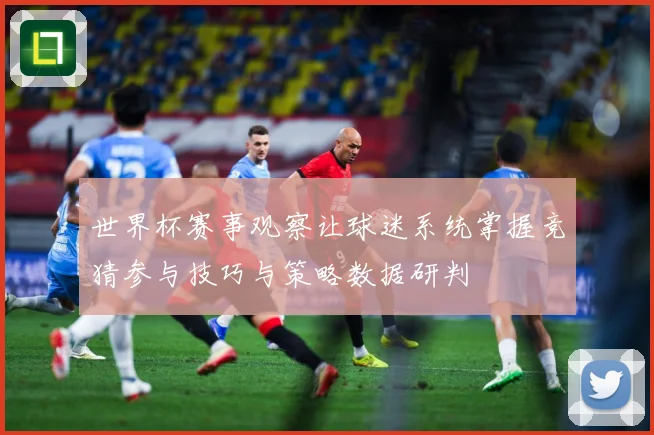 世界杯赛事观察让球迷系统掌握竞猜参与技巧与策略数据研判