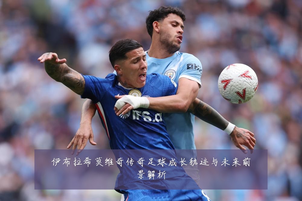 伊布拉希莫维奇传奇足球成长轨迹与未来前景解析