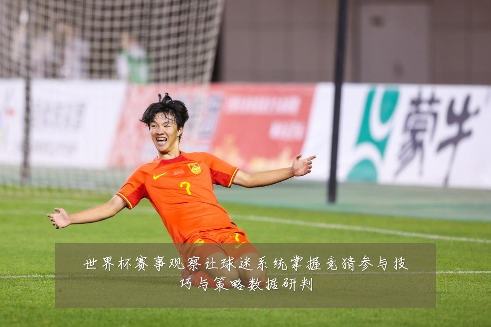 世界杯赛事观察让球迷系统掌握竞猜参与技巧与策略数据研判