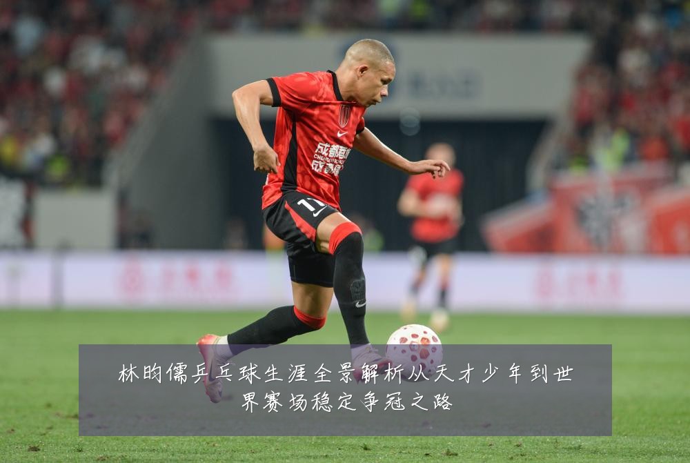 林昀儒乒乓球生涯全景解析从天才少年到世界赛场稳定争冠之路