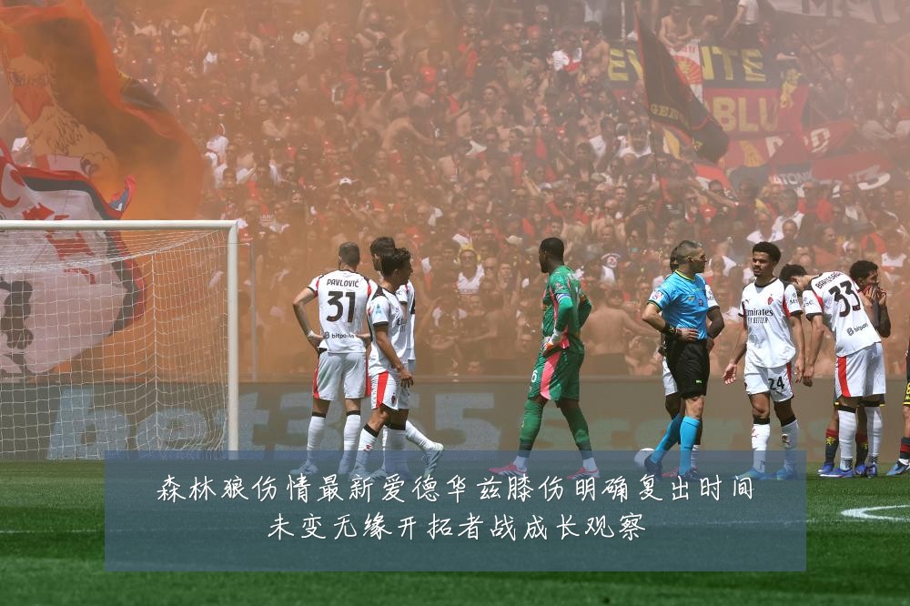 森林狼伤情最新爱德华兹膝伤明确复出时间未变无缘开拓者战成长观察