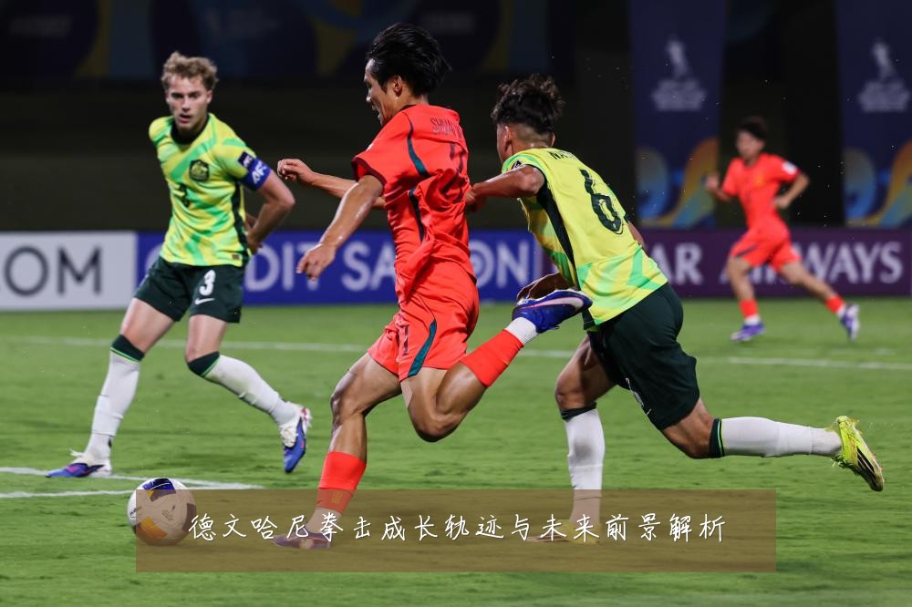 德文哈尼拳击成长轨迹与未来前景解析